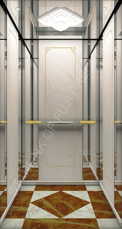 Titanium-Gold elevator for villa