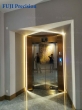 Project by FUJI Precision from Laos, Hotel Luxury Furnished Elevator